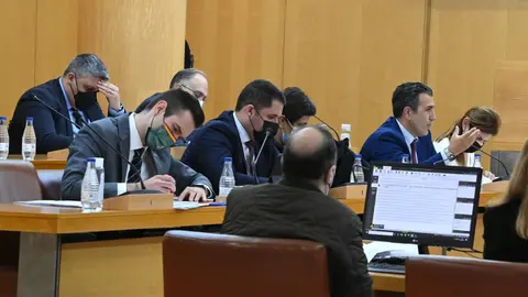 rontome mas vox pleno marzo2022
