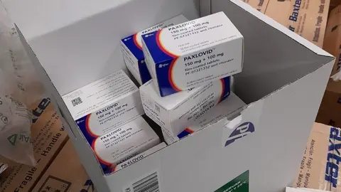paxlovid