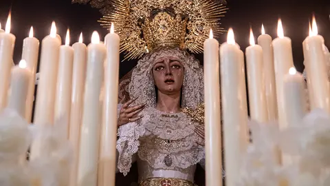 La Pollinica 2022-11
