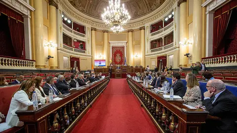 Pleno Consejo Protecci&oacute;n Civil