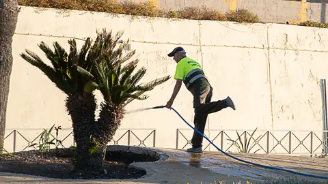 Brigadas Verdes jardines rotonda-1