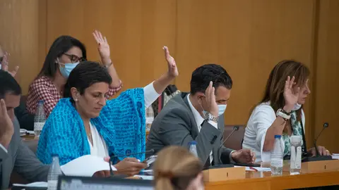 Pleno Votaciones-4