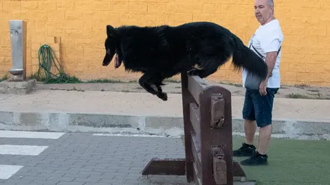 Parque de perros-5