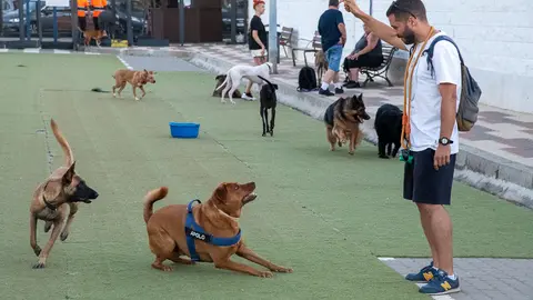 Parque de perros-7
