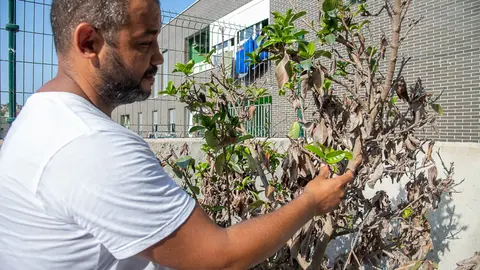 Huerto Ecol&oacute;gico-1
