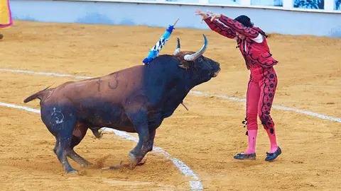 Lance en una corrida de toros / Imagen de archivo