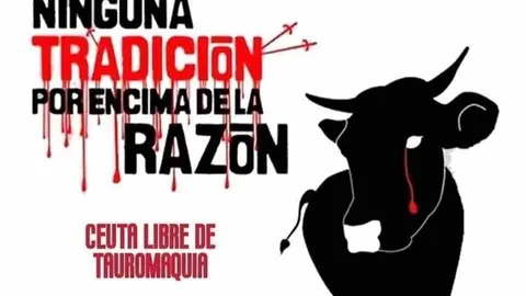 Campa&ntilde;a animalistas. Ceuta, libre de tauromaquia