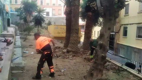 Un operario de Brigadas Verdes, acondicionando una zona ajardinada de Alfau