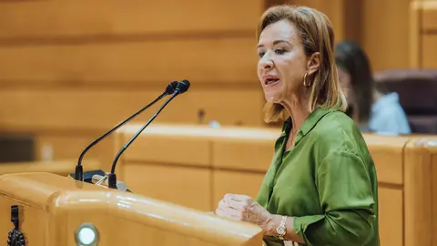 Yolanda Merelo, en la tribuna de oradores del Senado