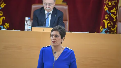 Pleno 23 de noviembre de 2023-12