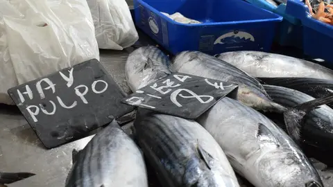 Pescader&iacute;a del Mercado Central de Abastos