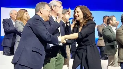 vivas ayuso