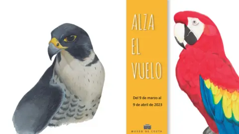 Cartel promocional de 'Alza el vuelo', de Isabel Blanch Lard&iacute;n