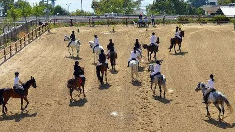  h&iacute;pica caballas 
