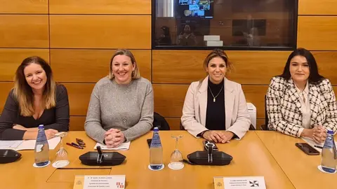 Nabila Benzina, durante una reuni&oacute;n del Consejo Territorial de Servicios Sociales