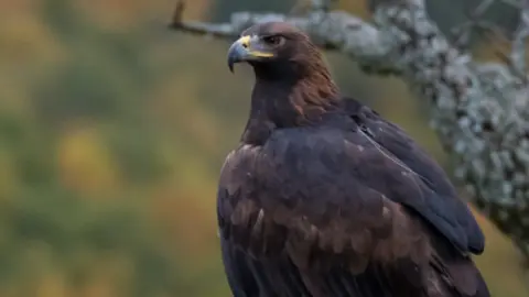 iberia-naturaleza-infinita-fotograma