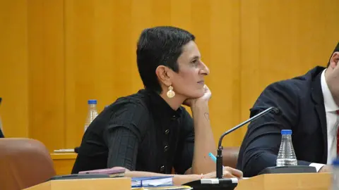 Pleno Asamblea aprobaci&oacute;n presupuestos 2023 hacienda econom&iacute;a Kissy Chandiramani