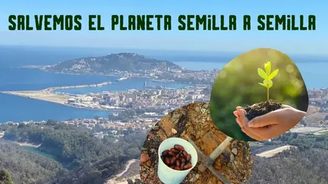 Parte del cartel promocional de la 'Bellotada' organizada por el SEO