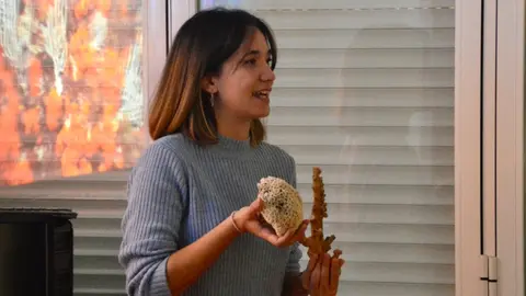 Charla biolog&iacute;a fondos marinos mar biodiversidad medioambiente ecosistemas mayores imserso