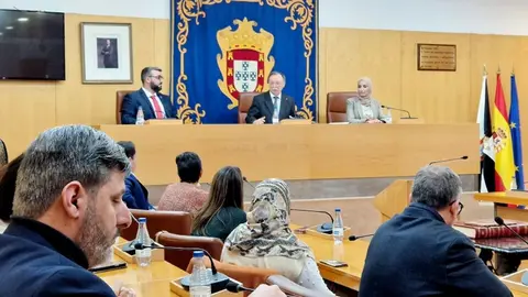 Pleno mesa asamblea vicepresidencias