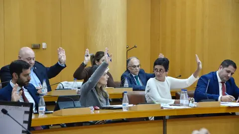 Pleno Asamblea aprobaci&oacute;n definitiva presupuestos 2024