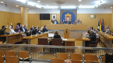 pleno vota unimidad ipsi
