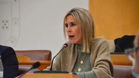 Pleno Asamblea propuestas diciembre 2023