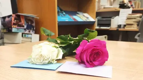rosas nota aula san valentin flores