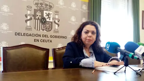 La delegada del Gobierno, Cristina P&eacute;rez, durante su comparecencia ante los periodistas (C.A.) 