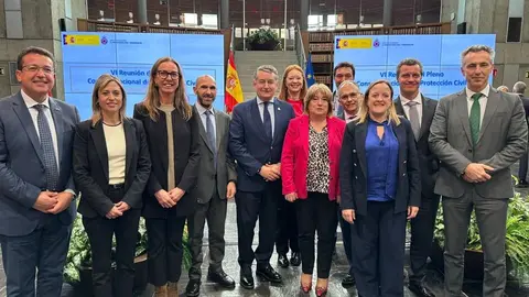 Alberto Gait&aacute;n y varios hom&oacute;logos territoriales, durante un pleno del Consejo de Protecci&oacute;n Civil