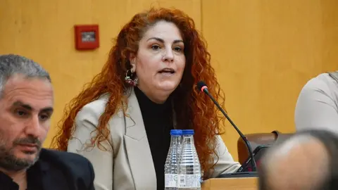 Pleno Asamblea propuestas abril 2024 Julia Ferreras Ceuta Ya!