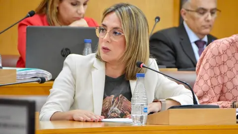 Pleno Asamblea propuestas mayo 2024 Pilar Orozco PP