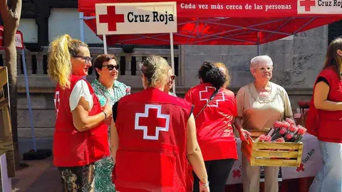 Cruz Roja mayores rosas