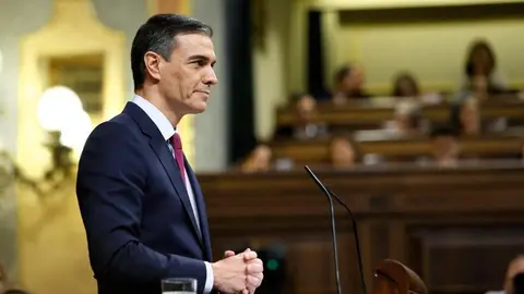  Pedro S&aacute;nchez, durante una intervenci&oacute;n en la C&aacute;mara Baja (CONGRESO DE LOS DIPUTADOS) 