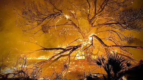 Incendio