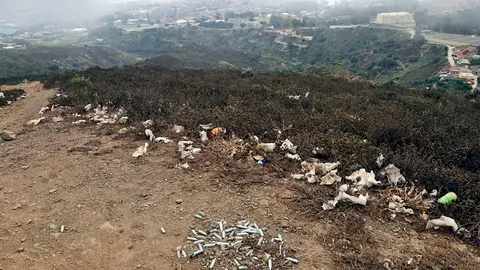  Basura en los montes / FPAV 