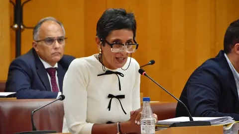 Asamblea Pleno control interpelaciones septiembre 2024 Kissy Chandiramani PP