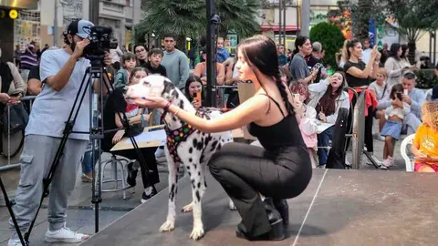 Pasarela de Moda Casual en la Semana del Comercio4
