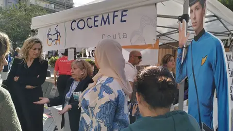  Expositor instalado por Cocemfe en la Plaza de los Reyes (UTE) 