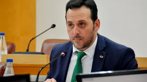 Juan Sergio Redondo, portavoz de Vox durante un pleno.