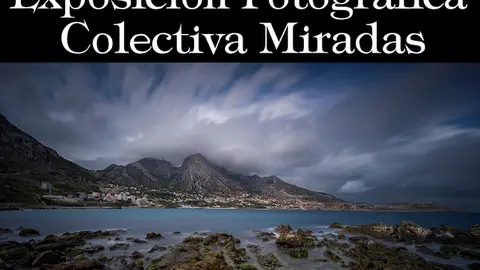 Cartel de la exposici&oacute;n.