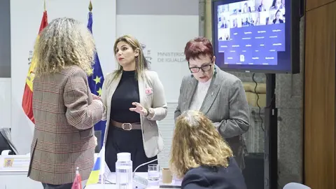 La consejera de Sanidad y Servicios Sociales, Nabila Benzina, en la Conferencia Sectorial de Igualdad