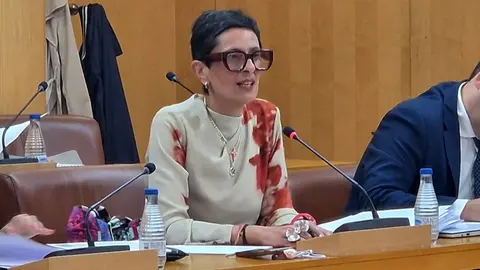 Kissy Chandiramani en un Pleno de la Asamblea / Archivo