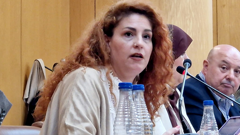 La diputada Julia Ferreras durante una intervenci&oacute;n / Laura Ortiz