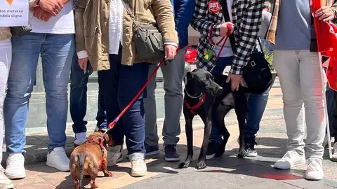 Los sindicatos reclaman un crematorio para las mascotas en la manifestación del 1 de Mayo3