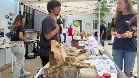 Feria de la Sostenibilidad en el CIFPn&ordm;1.