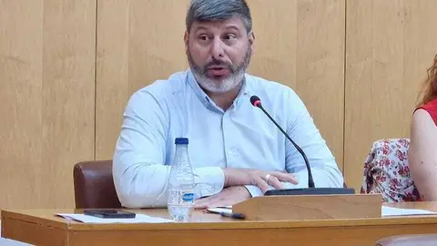 Mohamed Mustafa durante la sesión pleanaria.