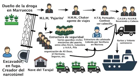 Gr&aacute;fico de las supuestas organizaciones criminales involucradas en la Operaci&oacute;n Hades creado por este medio.