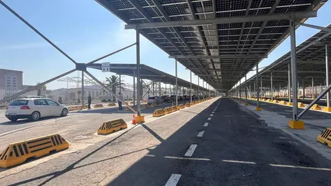 ope-coches-estacion-maritima-puerto-cola-vehiculos-control-guardia-civil-perros (11)