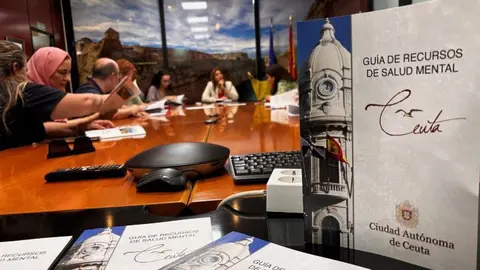 Gu&iacute;a de Recursos Salud Mental presentada por Servicios Sociales